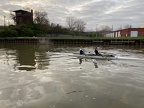 IMG 3571